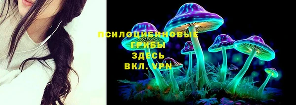 МДПВ Абдулино