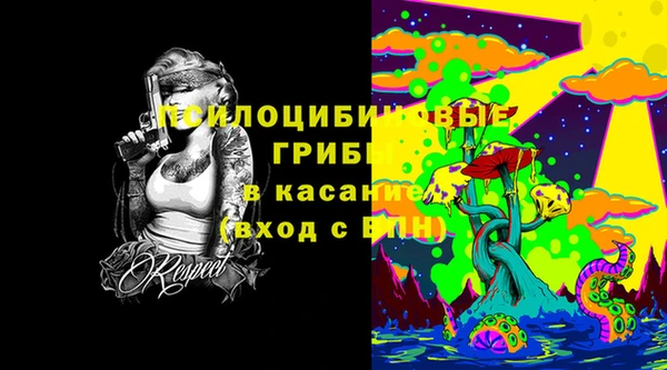 МДПВ Абдулино